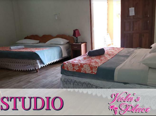 Viola'S Place Lowlands Zewnętrze zdjęcie